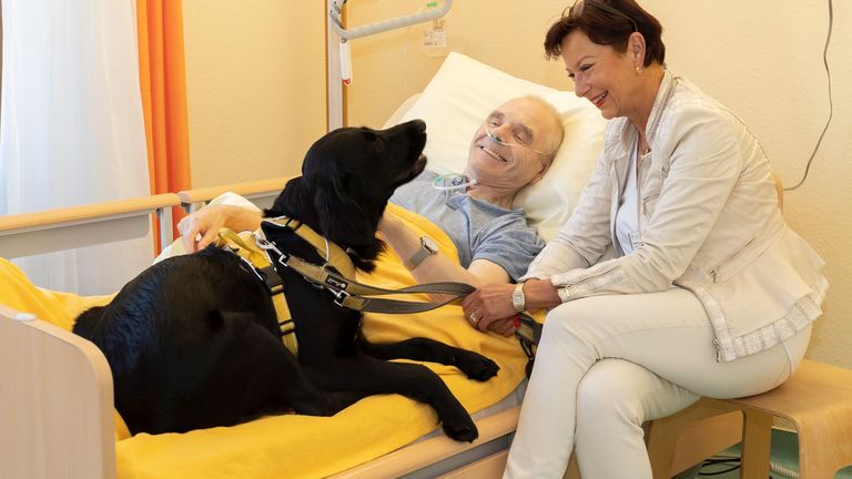  Therapeutin mit Hund zu Besuch bei Hospizgast - Spenden für Therapieangebote im Diakonie Hospiz Wannsee