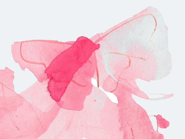 Abstraktes Bild eines Schmetterlinks in verschiedenen Rosa-Tönen, Letzte Hilfe-Kurs, Veranstaltung, Kurs, Diakonie Hospiz Wannsee, Berlin-Wannsee Abstraktes Bild eines Schmetterlinks in verschiedenen Rosa-Tönen, Letzte Hilfe-Kurs, Veranstaltung, Kurs, Diakonie Hospiz Wannsee, Berlin-Wannsee