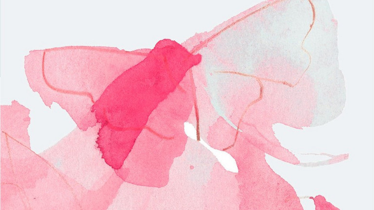 Abstraktes Bild eines Schmetterlinks in verschiedenen Rosa-Tönen, Letzte Hilfe-Kurs, Veranstaltung, Kurs, Diakonie Hospiz Wannsee, Berlin-Wannsee