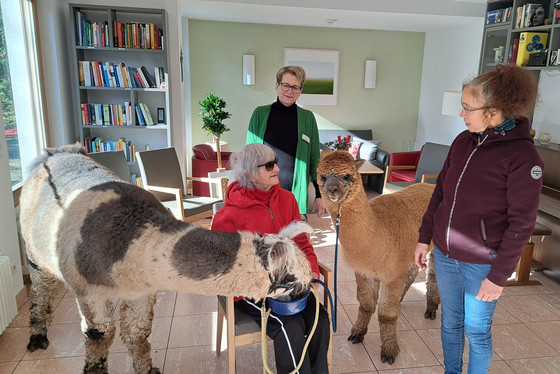 Ein Lama und ein Alpaka zu Besuch im Hospiz, Tierbesuchsdienst im Diakonie Hospiz Wannsee, Therapieangebote im stationären Hospiz