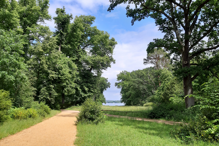Gehweg umrahmt von Bäumen und Wiesen mit Wasser im Hintergrund - Trauerspaziergang - Diakonie Hospiz Wannsee Gehweg umrahmt von Bäumen und Wiesen mit Wasser im Hintergrund - Trauerspaziergang - Diakonie Hospiz Wannsee
